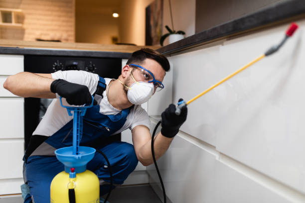 Best Emergency Pest Control  in Osceola, IN