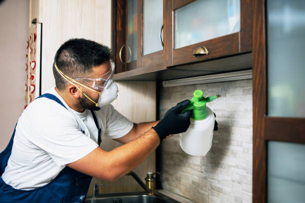 Best Ant Control Services  in Osceola, IN