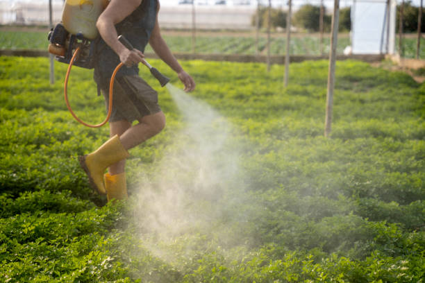 Best Affordable Pest Control Services  in Osceola, IN