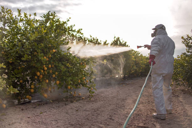 Trusted Osceola, IN Pest Control Experts