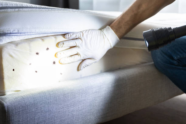 Best Pest Control Near Me in Osceola, IN