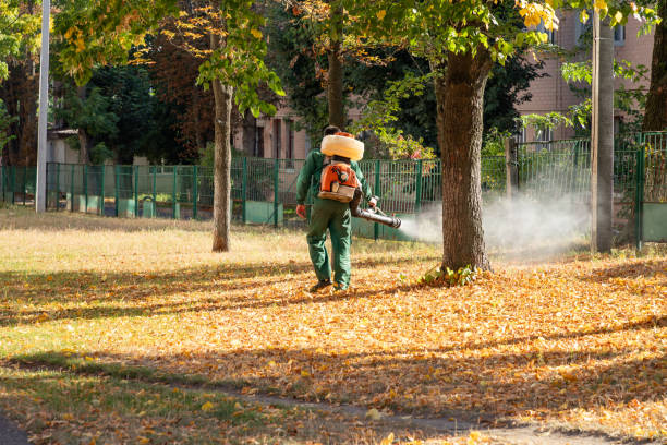 Best Affordable Pest Control Services  in Osceola, IN