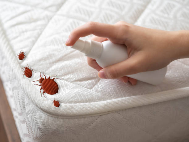 Best Pest Prevention Services  in Osceola, IN