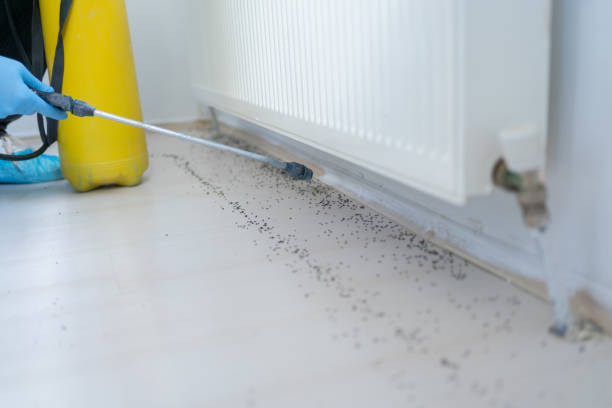 Best Wildlife Control Services  in Osceola, IN