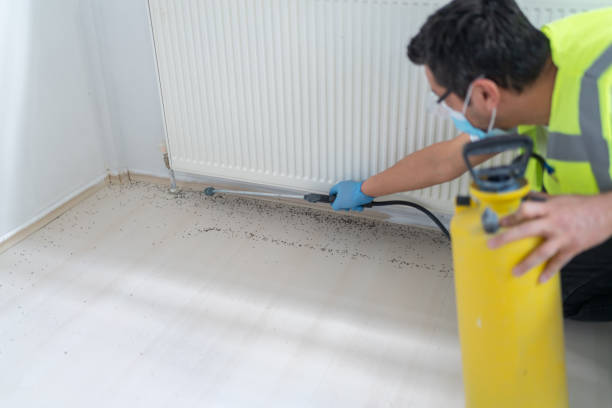 Best Residential Pest Control  in Osceola, IN