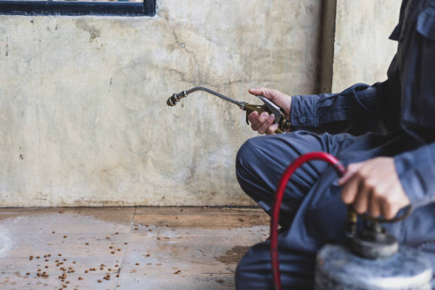 Best Wasp Removal Services  in Osceola, IN