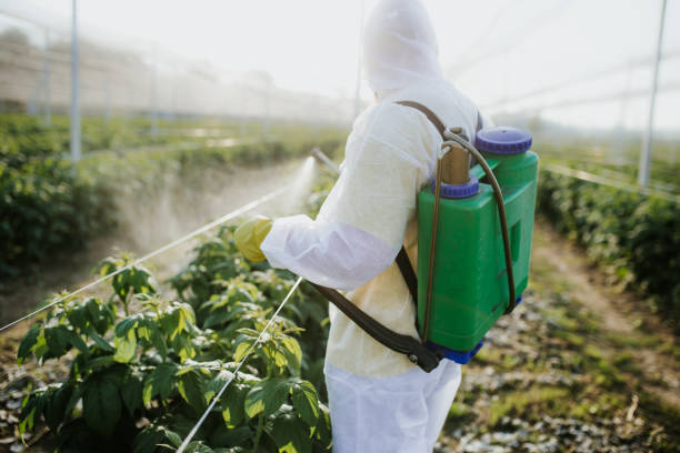 Best Affordable Pest Control Services  in Osceola, IN